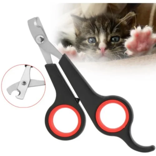 Tesoura Inox para Pets